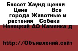 Бассет Хаунд щенки › Цена ­ 20 000 - Все города Животные и растения » Собаки   . Ненецкий АО,Каменка д.